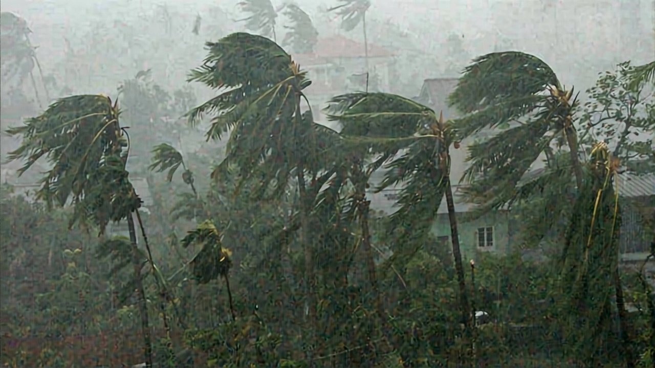 Who’s Most at Risk?